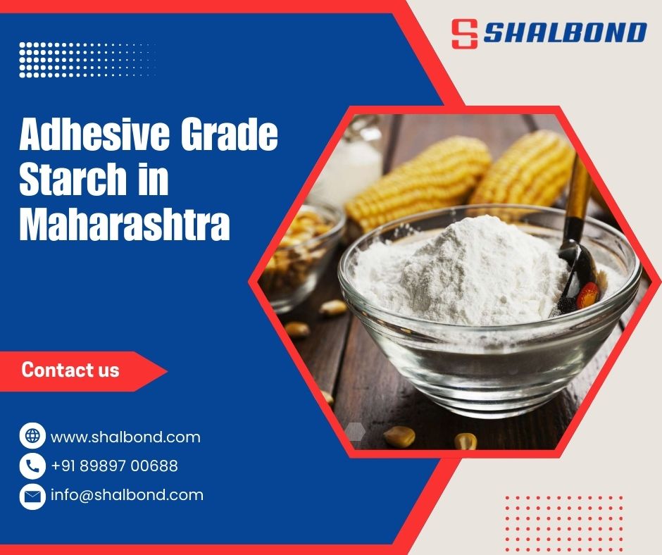 Adhesive Grade Starch in Maharashtra